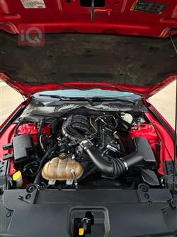 فۆرد مۆستانگ